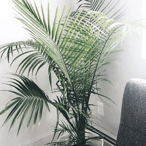 Meet your Posher, Lorena